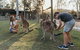 Paradise Country Farmstay - thumb 1
