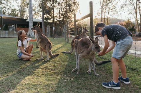 Paradise Country Farmstay - Northern Rivers Accommodation 1