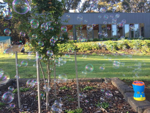 Paradiso Kinglake - Northern Rivers Accommodation 1