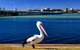 Parkside Marina 1 - CBD Location - thumb 2