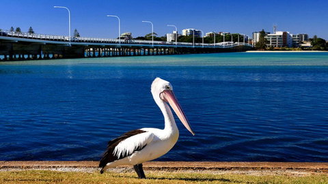 Parkside Marina 1 - CBD Location - Northern Rivers Accommodation 2