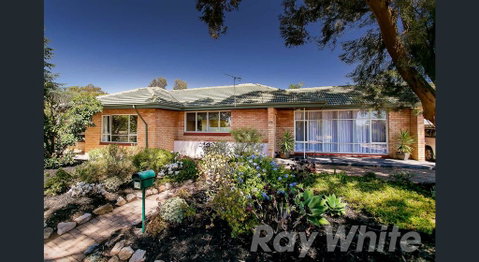 Pasadena Quinlan - Northern Rivers Accommodation 0