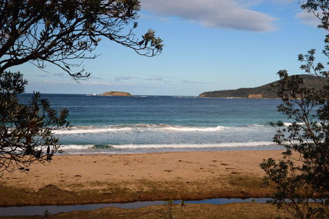 Pebbly Beach Shacks - Northern Rivers Accommodation 0