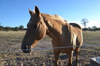 Penny's Place in The pyrenees