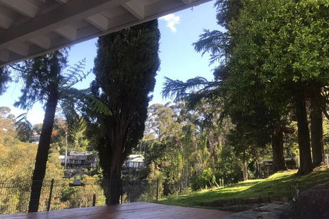 Pine Hill Cottage Acreage In Nature Trees Views Mid Katoomba Leura - Northern Rivers Accommodation 3