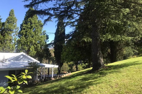 Pine Hill Cottage Acreage In Nature Trees Views Mid Katoomba Leura - Northern Rivers Accommodation 1