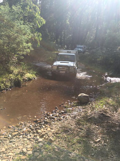 PNL 4WDriving Narbethong - Northern Rivers Accommodation 3
