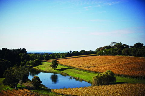 Port Phillip Estate - Northern Rivers Accommodation 2