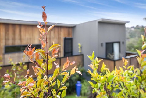 Pretty Haven - Northern Rivers Accommodation 0