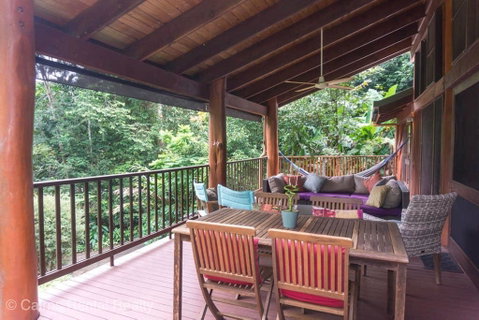 Private Rainforest Retreat With Lagoon Style Pool - Northern Rivers Accommodation 3