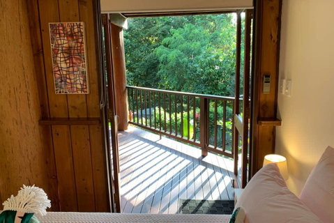 Private Rainforest Retreat With Lagoon Style Pool - Northern Rivers Accommodation 1