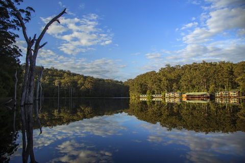 RAC Karri Valley Resort - Northern Rivers Accommodation 0