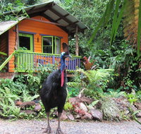 Rainforest Hideaway - Northern Rivers Accommodation