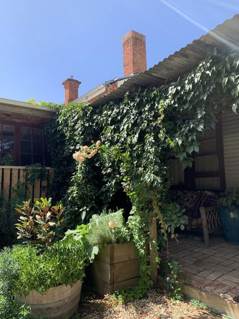 Red Hill Cottage - Northern Rivers Accommodation 2