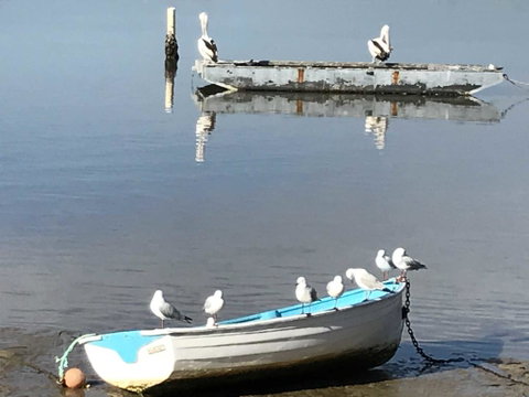 Reflections On Merimbula Lake - Northern Rivers Accommodation 2