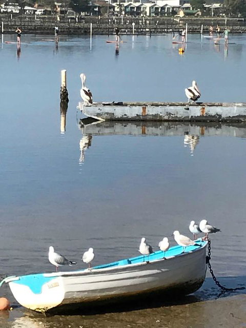 Reflections On Merimbula Lake - Northern Rivers Accommodation 1