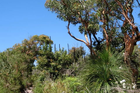 Relaxing Queen Sized Room With En-Suite - Northern Rivers Accommodation 3