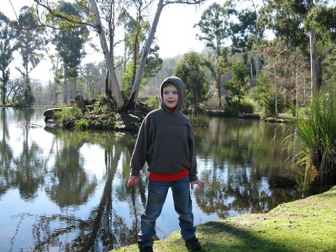RiverCottage-selfcontained - Northern Rivers Accommodation 2
