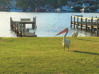 Riverfront Getaway - Mannum