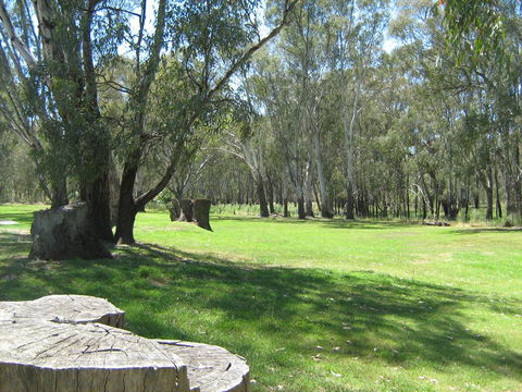 Rivergum Holiday Park - Northern Rivers Accommodation 2