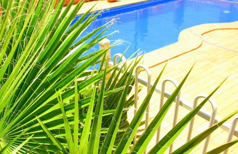 Roma Mid Town Motor Inn - Northern Rivers Accommodation 2
