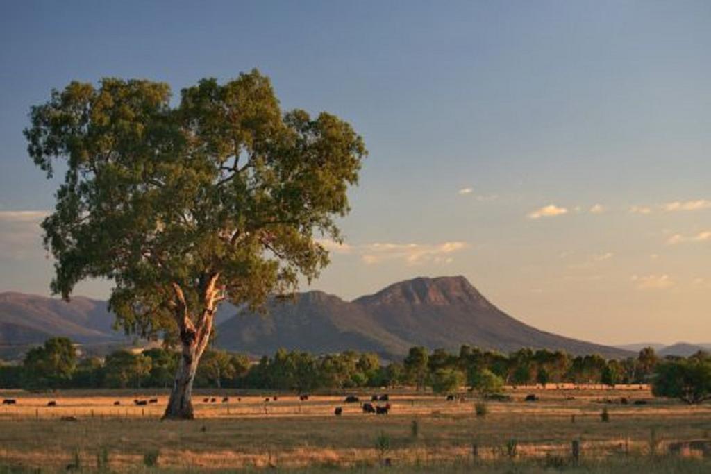 Thornton VIC Northern Rivers Accommodation