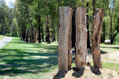 Saladin Lodge - Northern Rivers Accommodation 2