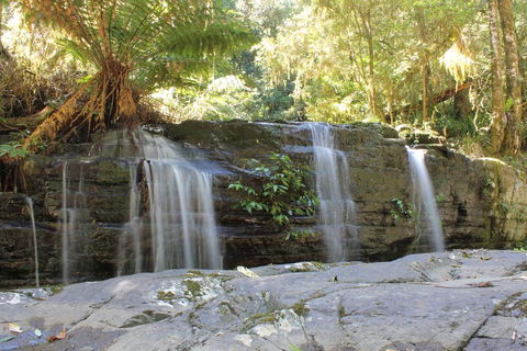 Salisbury Lodges - Northern Rivers Accommodation 1