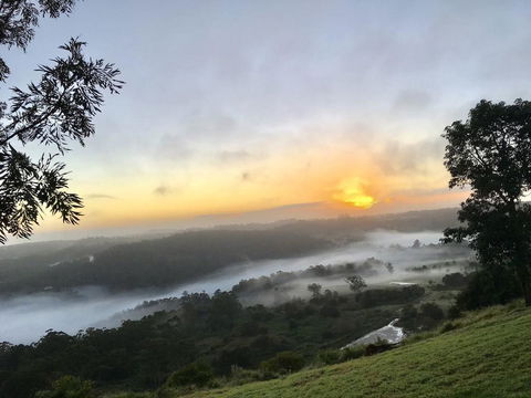 Scandinavian Cabin - Maleny - One Bedroom - Northern Rivers Accommodation 2