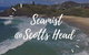 Seamist @ Scotts Head - thumb 3