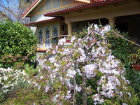 Book Katoomba Accommodation Vacations Northern Rivers Accommodation Northern Rivers Accommodation