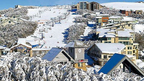 Snowflake 4 - Northern Rivers Accommodation 1