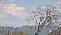 Book Mount Buller Accommodation Vacations Northern Rivers Accommodation Northern Rivers Accommodation