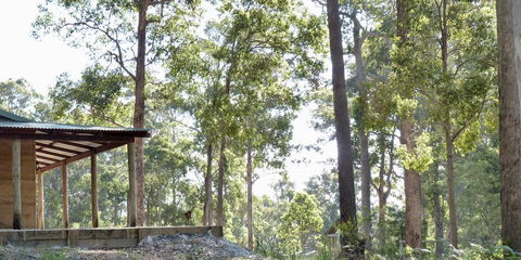 Southern Forest Escape Pemberton - Northern Rivers Accommodation 1