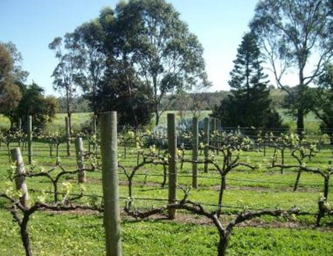 Southern Vales Bed & Breakfast - Northern Rivers Accommodation 1