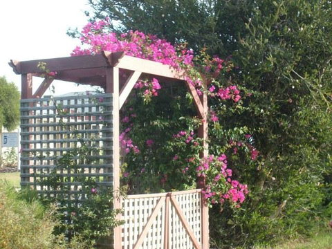 Southern Vales Bed & Breakfast - Northern Rivers Accommodation 3