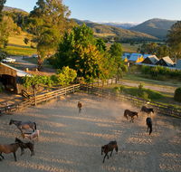 Spring Spur - Northern Rivers Accommodation