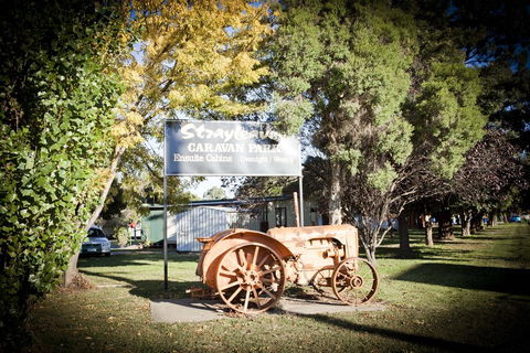 Strayleaves Caravan Park - Northern Rivers Accommodation 0