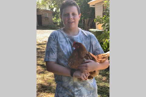 Stunning Queenslander - Northern Rivers Accommodation 2