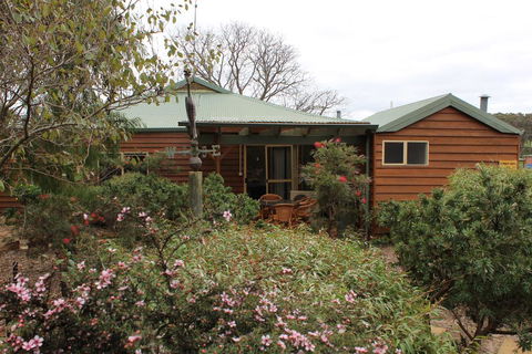 Sunflowers Animal Farm & Farmstay - Northern Rivers Accommodation 0