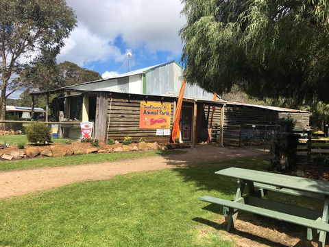Sunflowers Animal Farm & Farmstay - Northern Rivers Accommodation 2