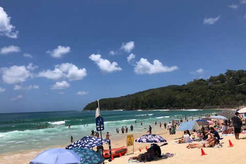 Sunshine Coast Cottage - Northern Rivers Accommodation 3