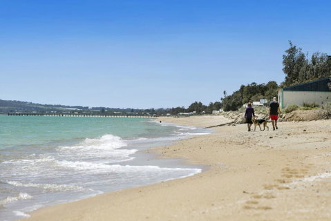 THALASSA HOUSE COASTAL RETREAT DROMANA - Northern Rivers Accommodation 2