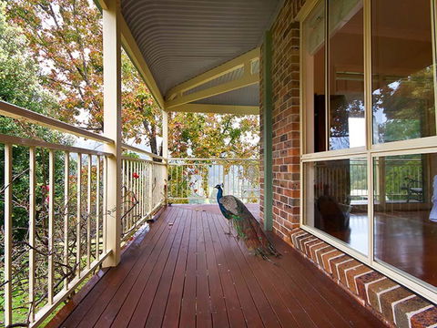 The Acreage Luxury B&B And Guesthouse - Northern Rivers Accommodation 1