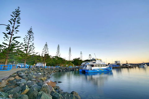The Beach Retreat Eden - Northern Rivers Accommodation 2