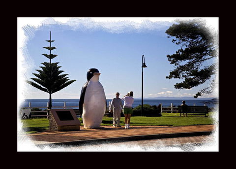 Penguin Beachfront Apartments - Northern Rivers Accommodation 13