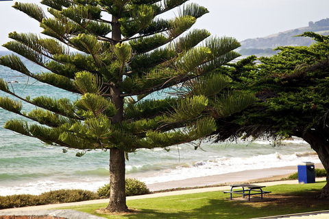 Penguin Beachfront Apartments - Northern Rivers Accommodation 9