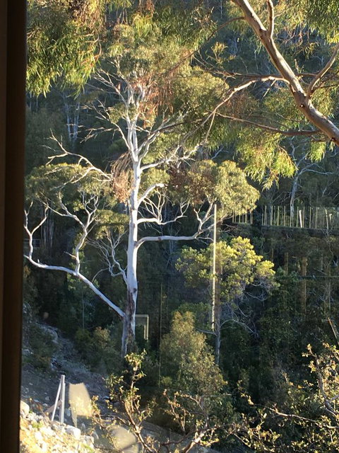 The Lookout - Northern Rivers Accommodation 22
