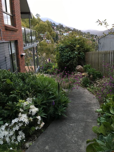 The Lookout - Northern Rivers Accommodation 23