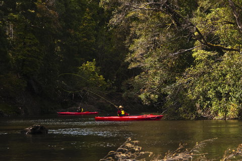 Corinna Wilderness Village - Northern Rivers Accommodation 38